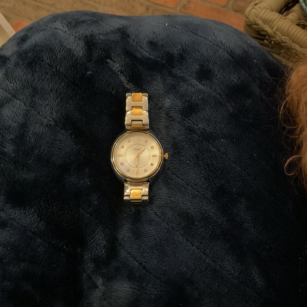 Gold And Silver Watch